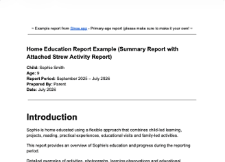 Strew home education report example generated from logged activities