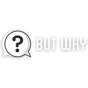 But Why podcast artwork